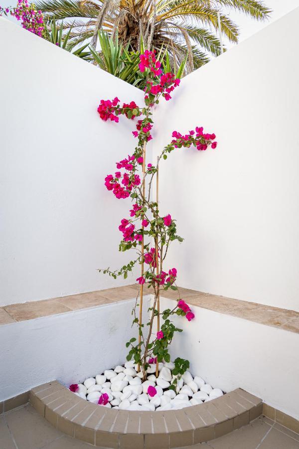 Ds Traditional Villas Santorini Island 卡特瑞杜斯 外观 照片