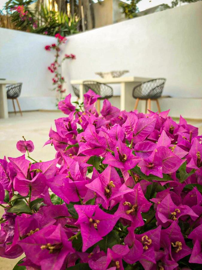 Ds Traditional Villas Santorini Island 卡特瑞杜斯 外观 照片
